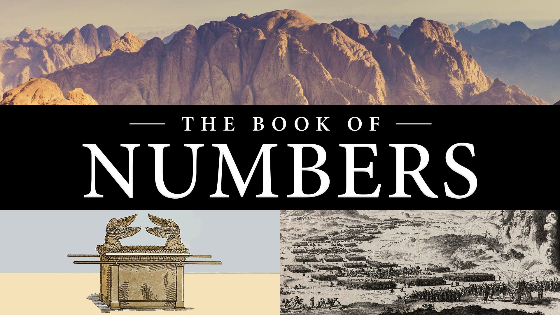 The Book Of Numbers Compressor 