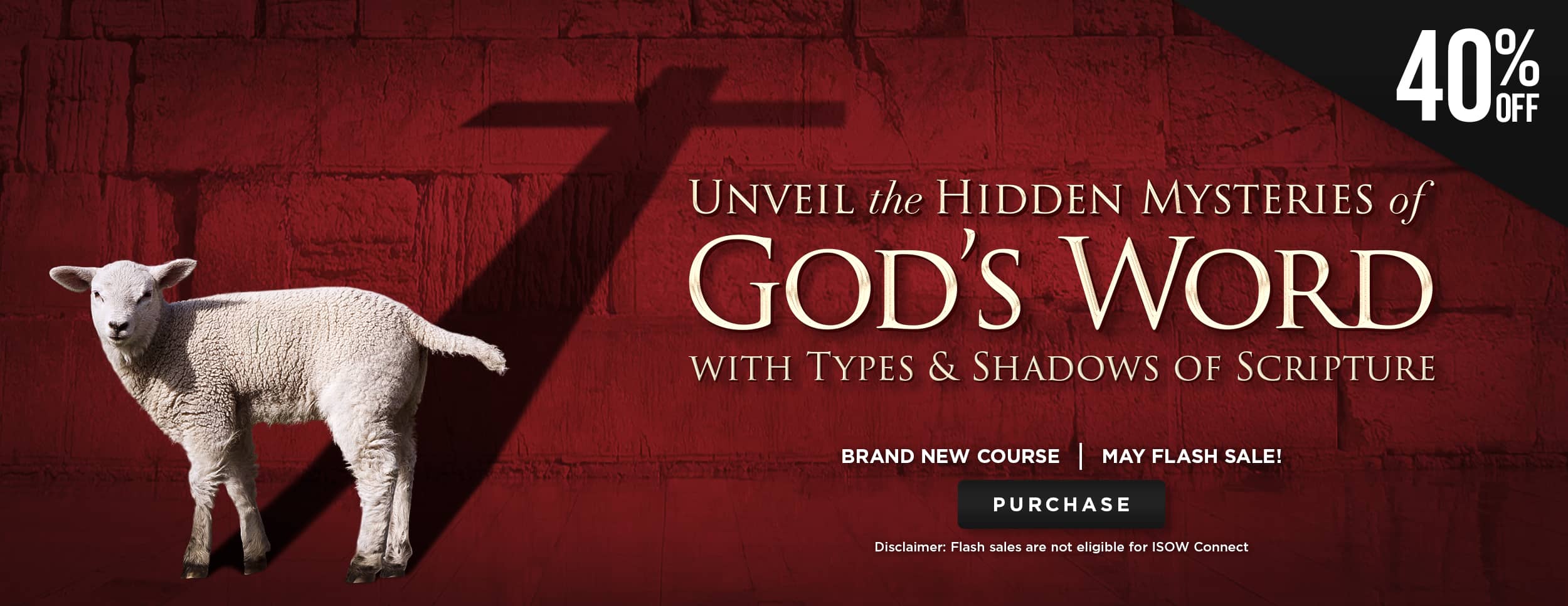 May Flash Sale – Types and Shadows – Website Banner – Revised