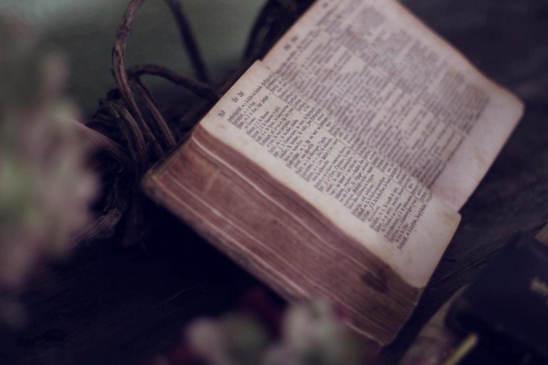 tamara menzi 62zFE2 E0Ao unsplash