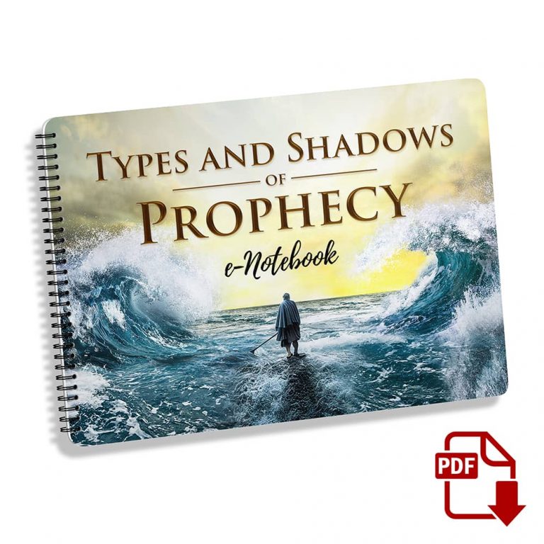 Bookstore Graphic Types and Shadows of Prophecy E Notebook Angeled