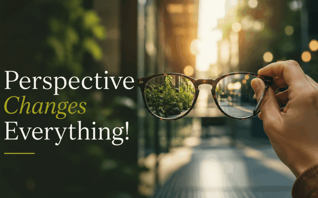 ¡La perspectiva lo cambia todo!