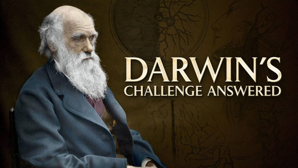 El desafío de Darwin respondido - Curso en línea