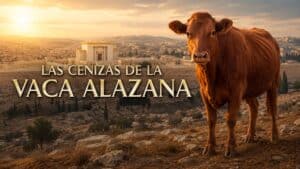 Las Cenizas de la Vaca Alazana