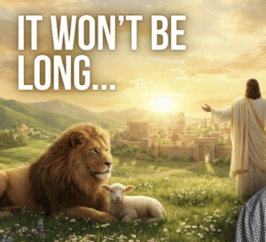 Life during the REIGN OF CHRIST! W/ Matthew Foley